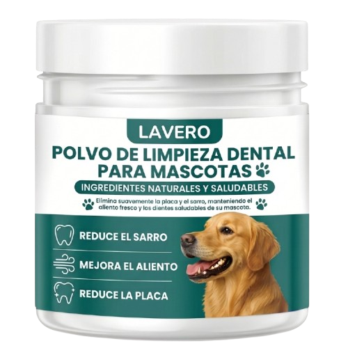 new dental powder lp